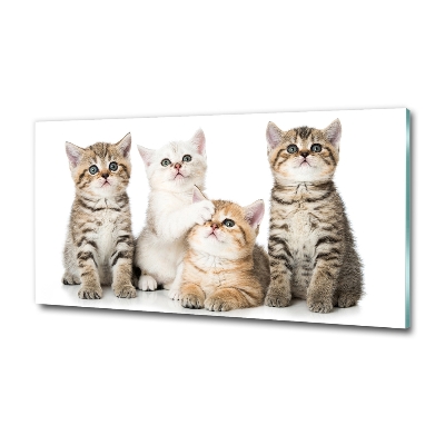 Cuadro decorativo de vidrio para salón horizontal Pequeños gatos