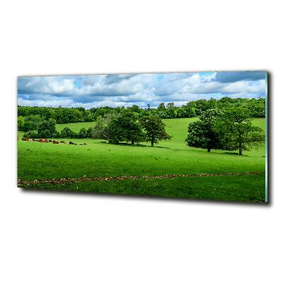 Cuadro decorativo de vidrio para salón horizontal Colinas verdes