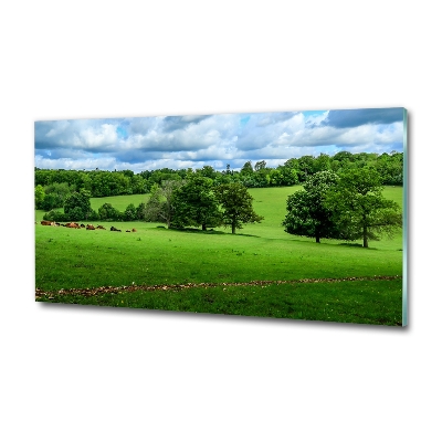 Cuadro decorativo de vidrio para salón horizontal Colinas verdes