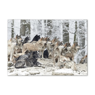 Cuadro decorativo de vidrio para salón horizontal Lobos en invierno