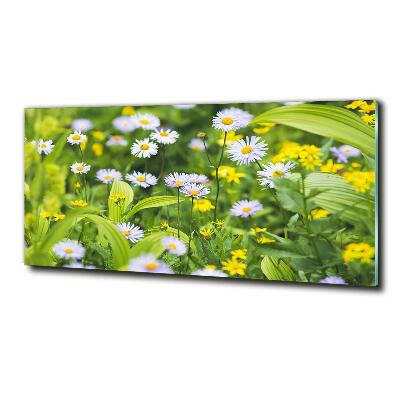 Foto obraz szkło hartowane Stokrotki