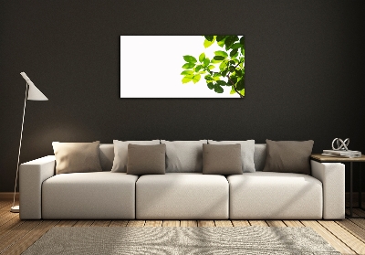 Foto en cristal de alta calidad con impresión uv horizontal Hojas