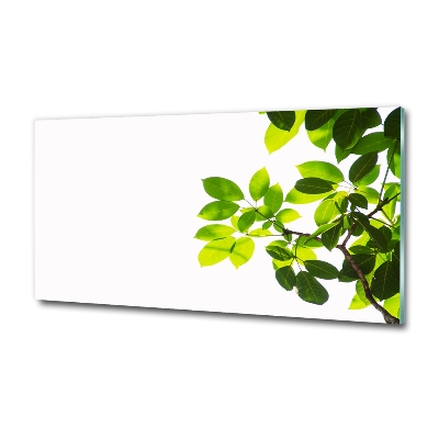 Foto en cristal de alta calidad con impresión uv horizontal Hojas