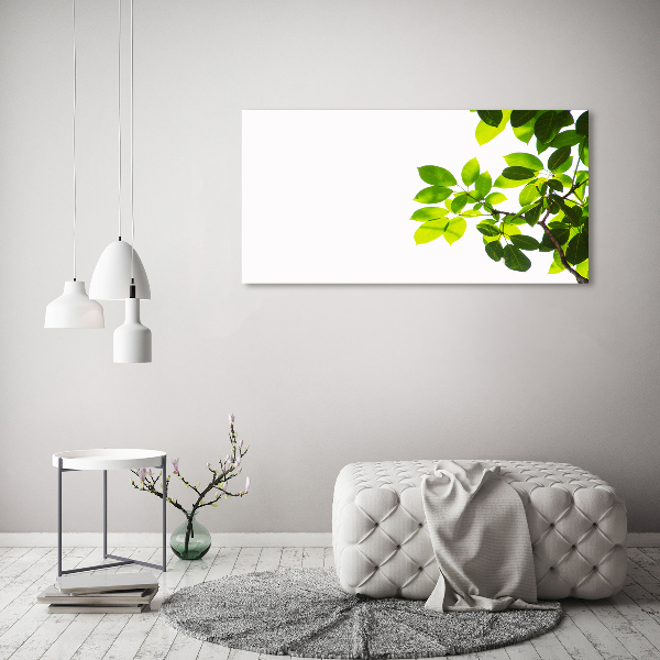Foto en cristal de alta calidad con impresión uv horizontal Hojas
