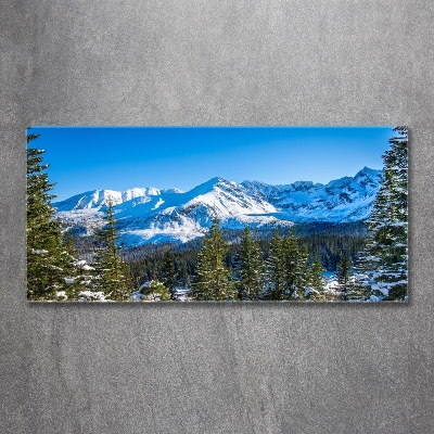 Cuadro decorativo de vidrio para salón horizontal Panorama de los montes Tatra