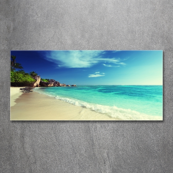 Cuadro de cristal templado moderno horizontal Playa de Seychelles