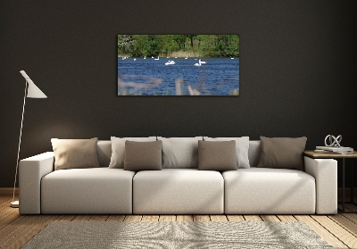 Cuadro decorativo de vidrio para salón horizontal cisnes blancos