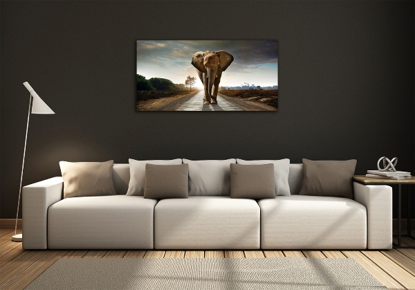 Impresión en cristal con acabado brillante horizontal Elefante caminando