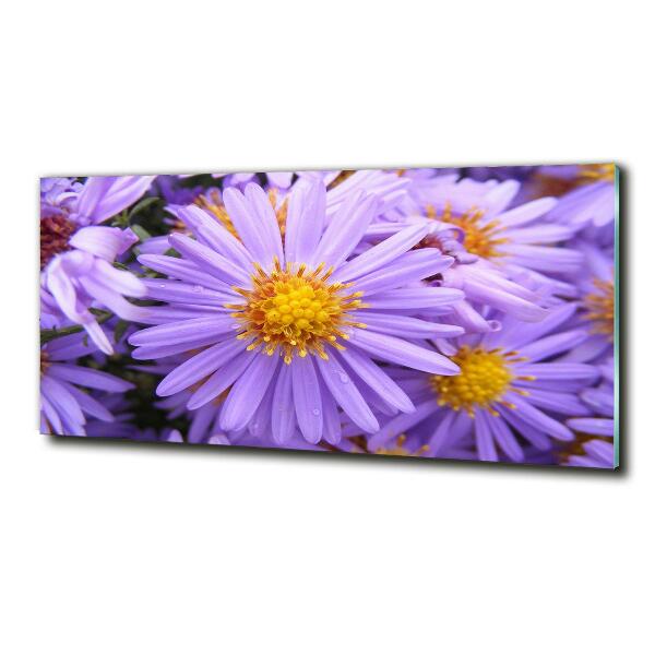 Foto en cristal de alta calidad con impresión uv horizontal Asters