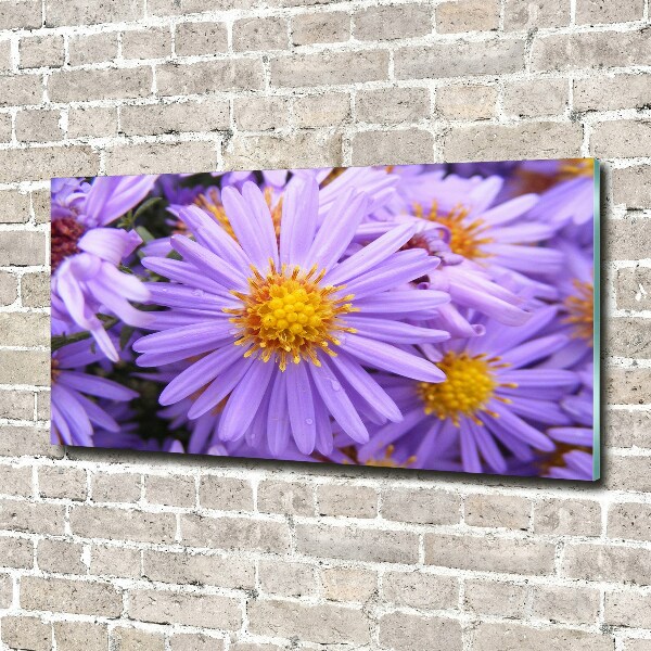 Foto en cristal de alta calidad con impresión uv horizontal Asters