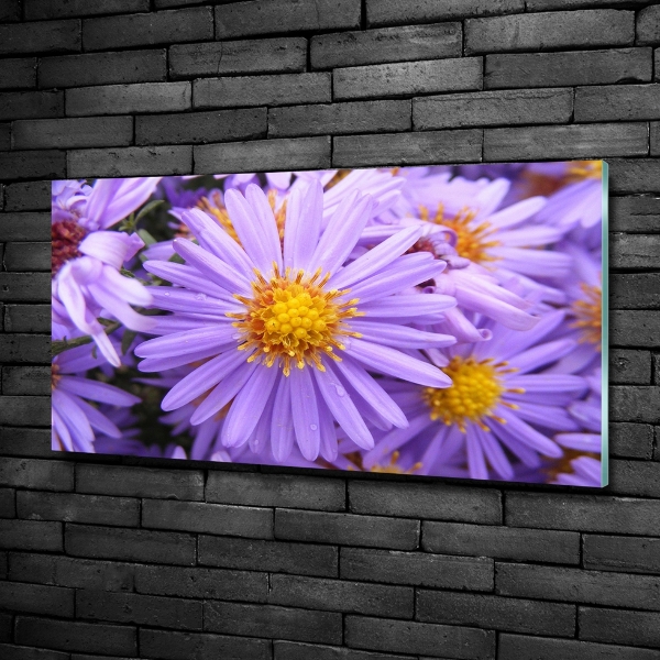 Foto en cristal de alta calidad con impresión uv horizontal Asters
