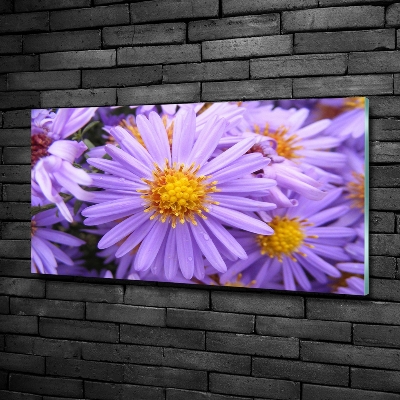 Foto en cristal de alta calidad con impresión uv horizontal Asters