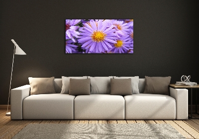 Foto en cristal de alta calidad con impresión uv horizontal Asters