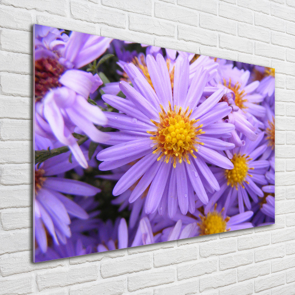Foto en cristal de alta calidad con impresión uv horizontal Asters