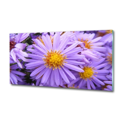Foto en cristal de alta calidad con impresión uv horizontal Asters