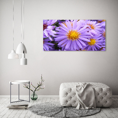 Foto en cristal de alta calidad con impresión uv horizontal Asters