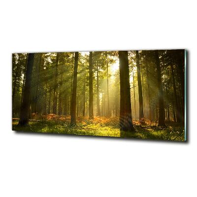 Impresión en cristal con acabado brillante horizontal Bosque al sol