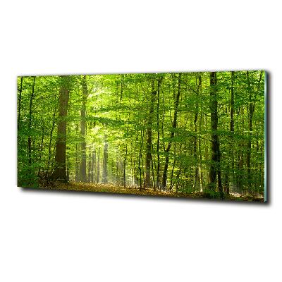 Foto en cristal de alta calidad con impresión uv horizontal Bosque caducifolio