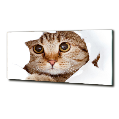 Cuadro decorativo de vidrio para salón horizontal Gato