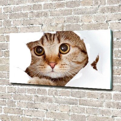 Cuadro decorativo de vidrio para salón horizontal Gato