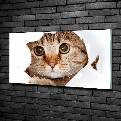 Cuadro decorativo de vidrio para salón horizontal Gato