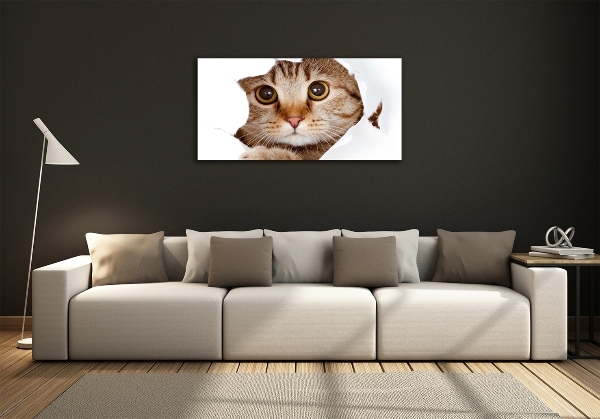 Cuadro decorativo de vidrio para salón horizontal Gato
