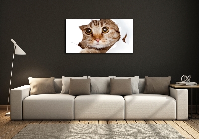 Cuadro decorativo de vidrio para salón horizontal Gato