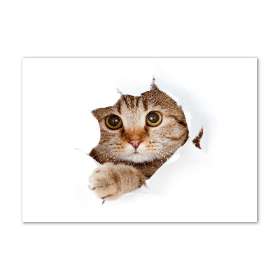 Cuadro decorativo de vidrio para salón horizontal Gato