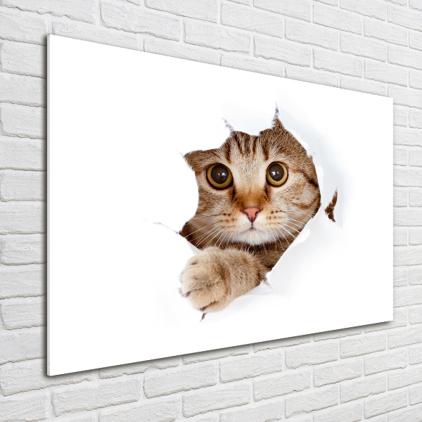 Cuadro decorativo de vidrio para salón horizontal Gato