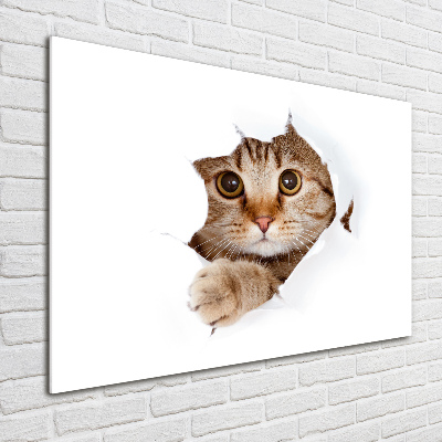 Cuadro decorativo de vidrio para salón horizontal Gato