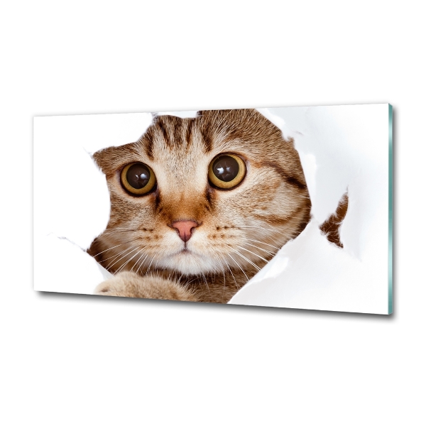Cuadro decorativo de vidrio para salón horizontal Gato