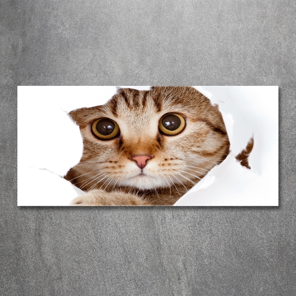 Cuadro decorativo de vidrio para salón horizontal Gato