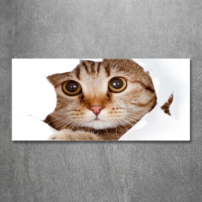 Cuadro decorativo de vidrio para salón horizontal Gato