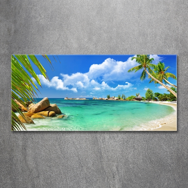 Cuadro de cristal templado moderno horizontal Playa de Seychelles