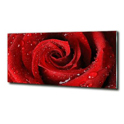 Foto en cristal de alta calidad con impresión uv horizontal Gotas sobre una rosa