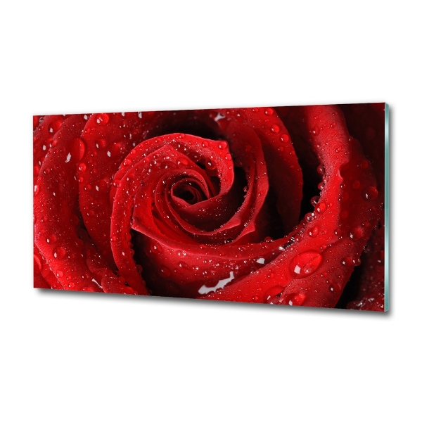 Foto en cristal de alta calidad con impresión uv horizontal Gotas sobre una rosa
