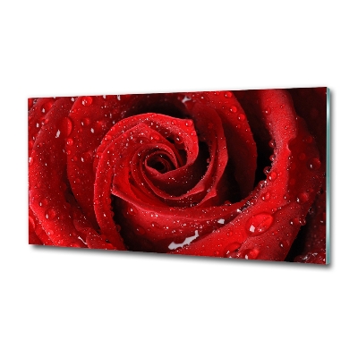 Foto en cristal de alta calidad con impresión uv horizontal Gotas sobre una rosa