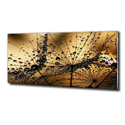 Cuadro de cristal templado moderno horizontal semillas de diente de león