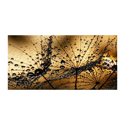 Cuadro de cristal templado moderno horizontal semillas de diente de león