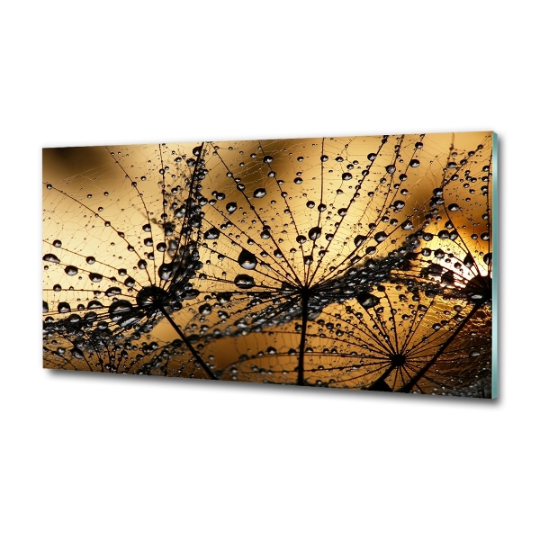 Cuadro de cristal templado moderno horizontal semillas de diente de león