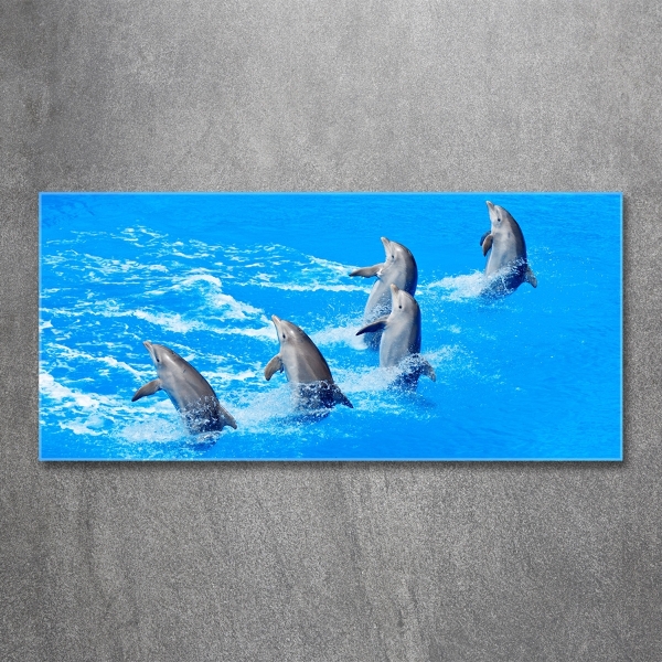Cuadro decorativo de vidrio para salón horizontal Delfines