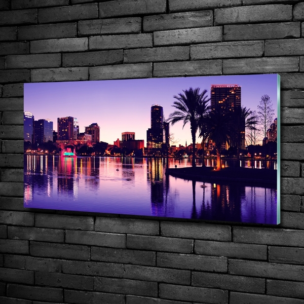 Cuadro decorativo de vidrio para salón horizontal Orlando, Estados Unidos