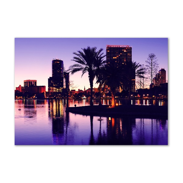 Cuadro decorativo de vidrio para salón horizontal Orlando, Estados Unidos