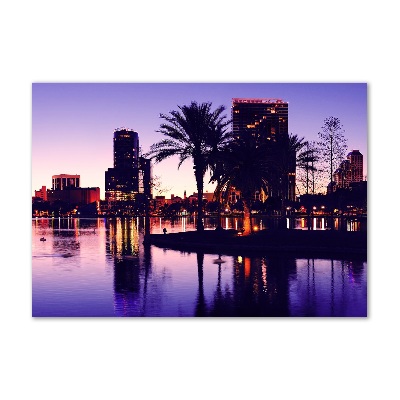 Cuadro decorativo de vidrio para salón horizontal Orlando, Estados Unidos