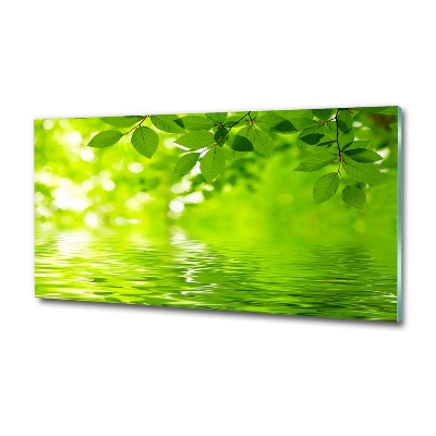 Cuadro decorativo de vidrio para salón horizontal hojas verdes