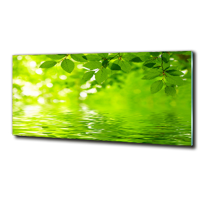 Cuadro decorativo de vidrio para salón horizontal hojas verdes