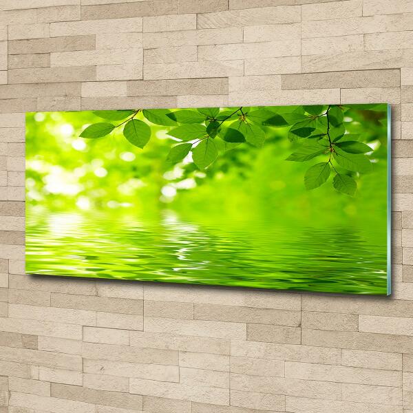 Cuadro decorativo de vidrio para salón horizontal hojas verdes