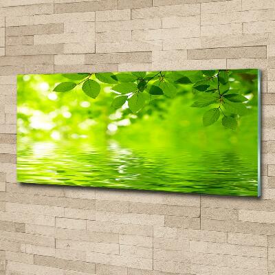 Cuadro decorativo de vidrio para salón horizontal hojas verdes