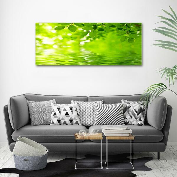 Cuadro decorativo de vidrio para salón horizontal hojas verdes