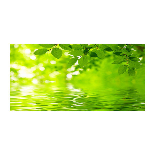 Cuadro decorativo de vidrio para salón horizontal hojas verdes